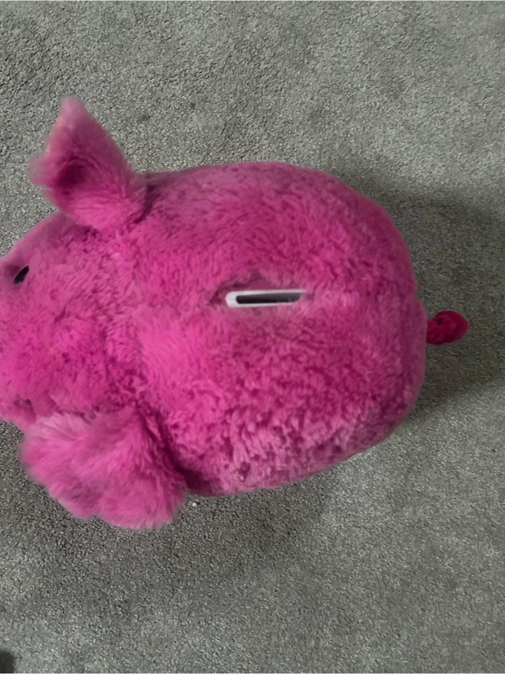 Target Hot Pink Plush Pig Small Pet Toy